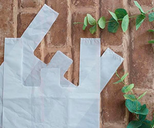PLA 비닐 봉지는 환경 친화적이고 분해 가능합니다.